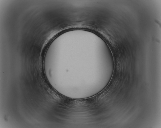 X0000091301270200708311330