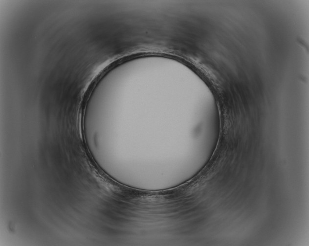 X0000091301272200708311330