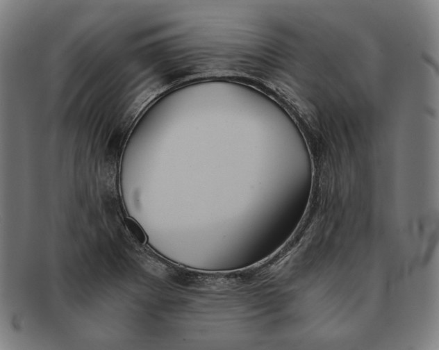 X0000091301273200708311330