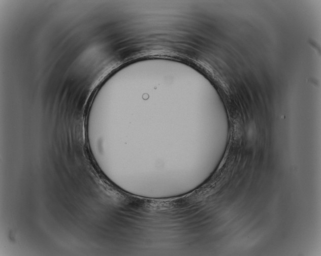 X0000091301274200708311330