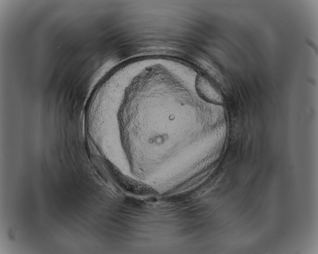 X0000091301275200708311330