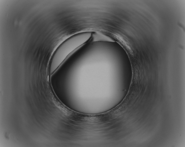 X0000091301276200708311329