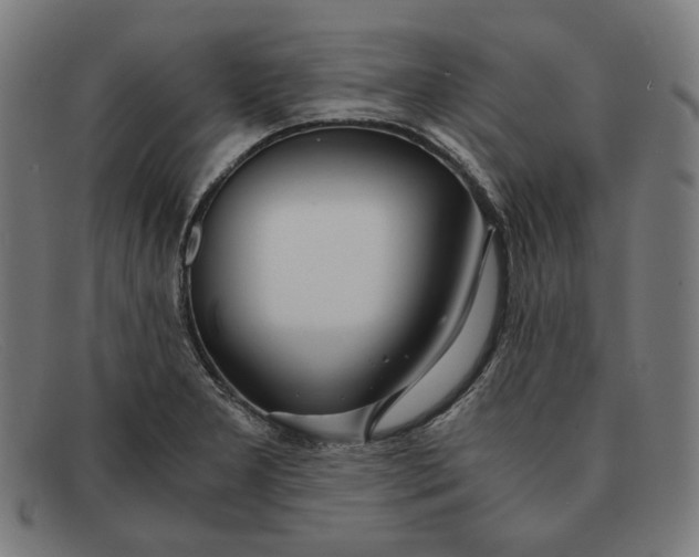 X0000091301277200708311329