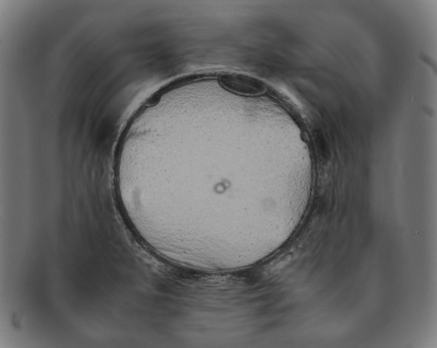 X0000091301279200708311329