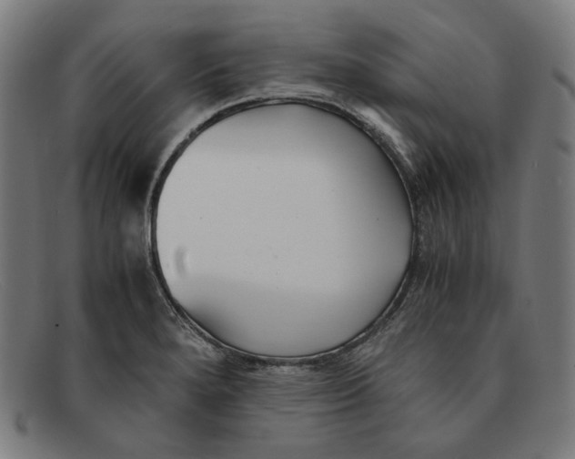 X0000091301280200708311329