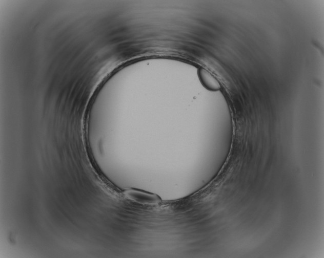 X0000091301283200708311329