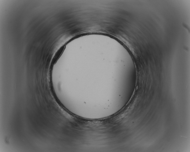 X0000091301285200708311329