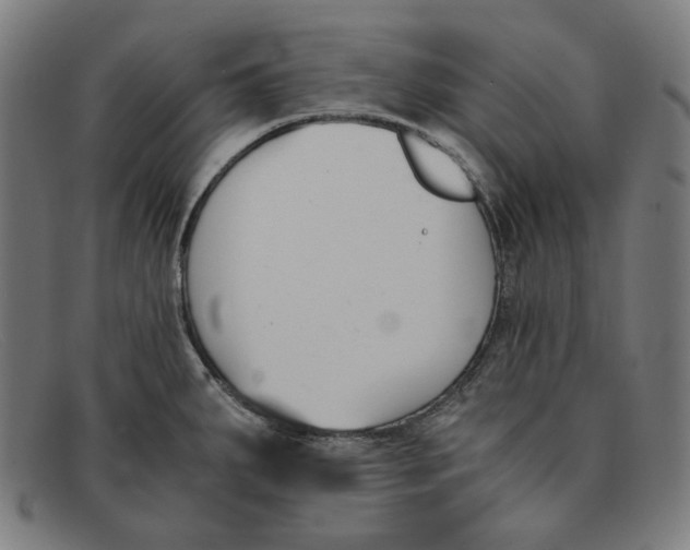 X0000091301287200708311329