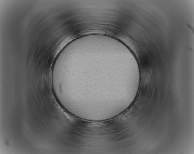 X0000091301290200708311329