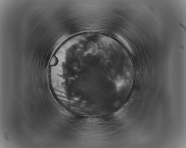 X0000091301291200708311329