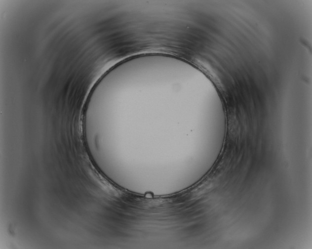 X0000091301292200708311329