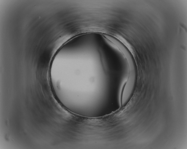 X0000091301293200708311329