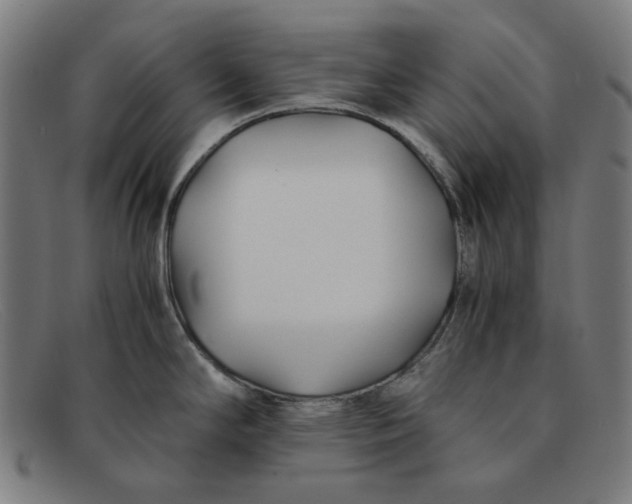 X0000091301294200708311329