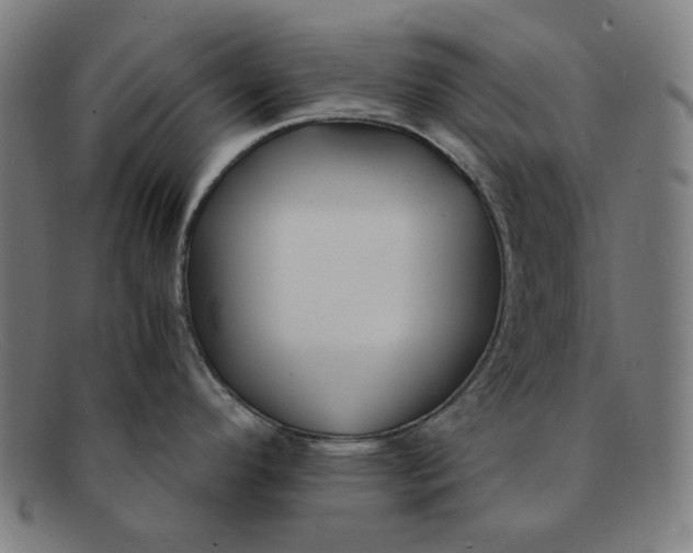 X0000091301296200708311329