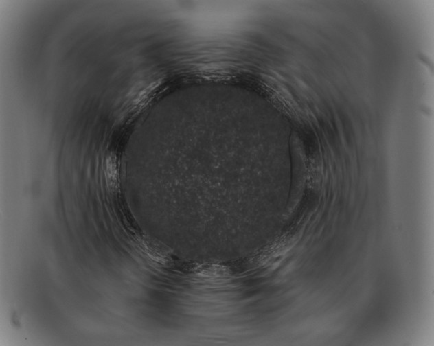 X0000091301298200708311329