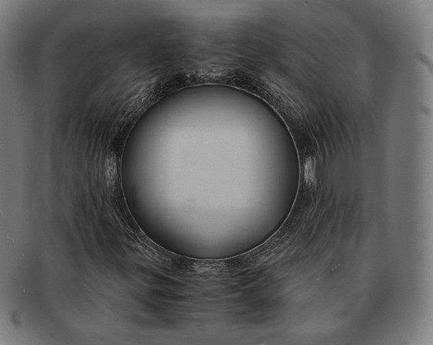 X0000091301299200708311329