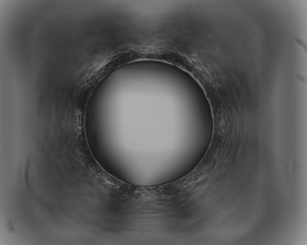 X0000091301301200708311329