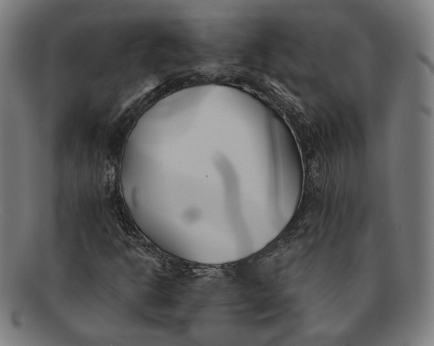 X0000091301302200708311329