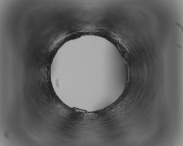 X0000091301304200708311329