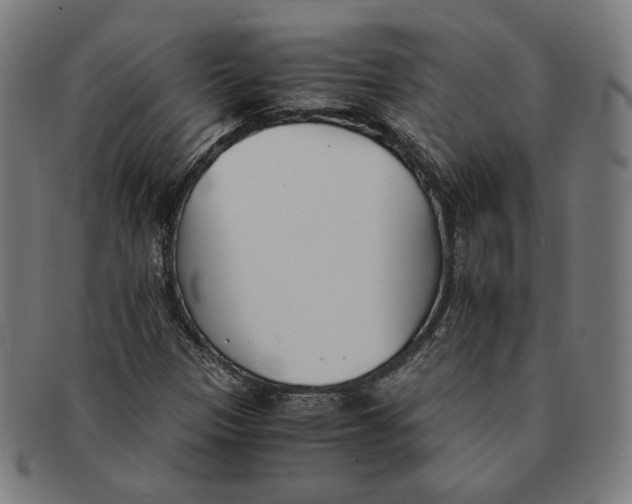 X0000091301305200708311329