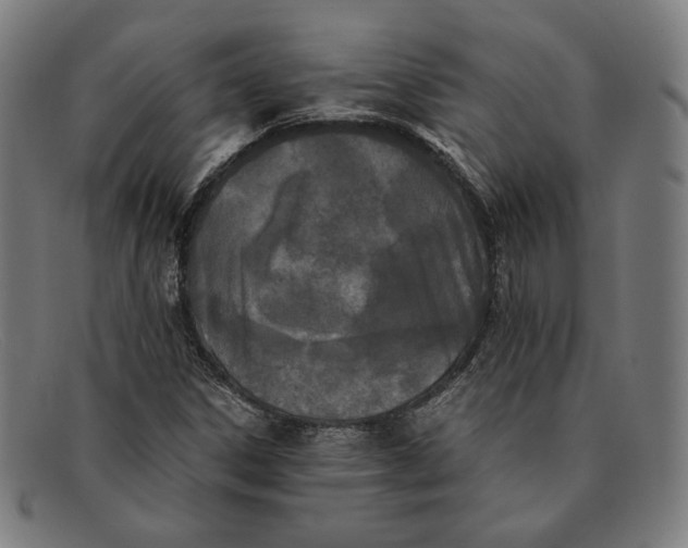 X0000091301306200708311329