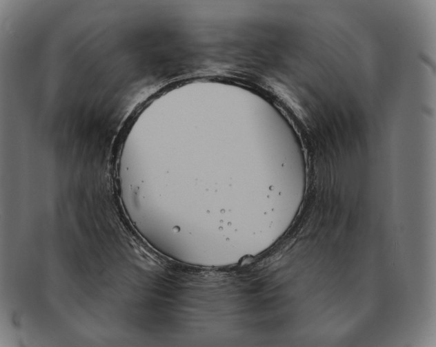 X0000091301308200708311329