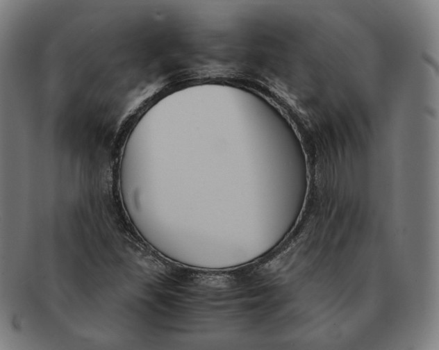 X0000091301309200708311329