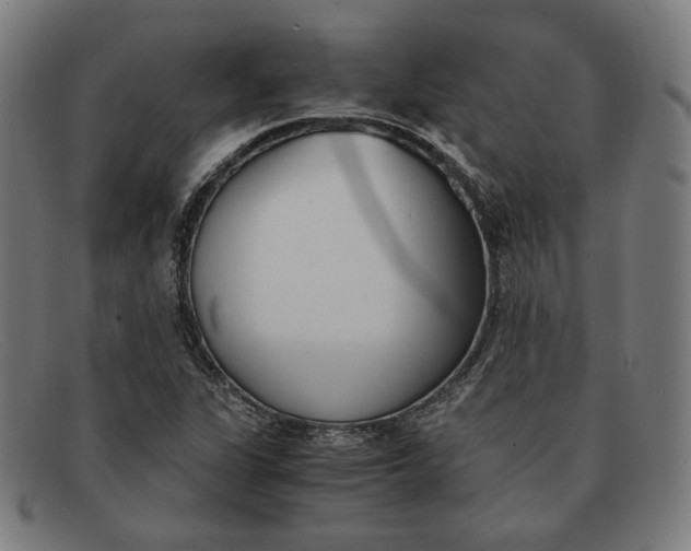 X0000091301311200708311329