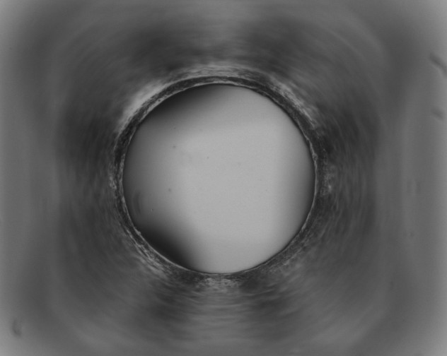 X0000091301312200708311329