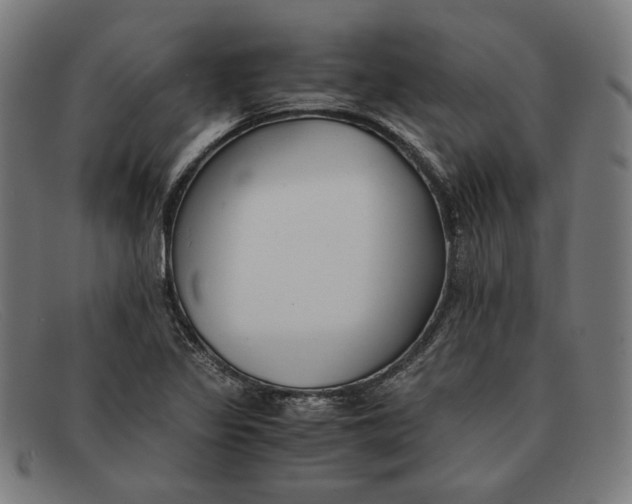 X0000091301317200708311329