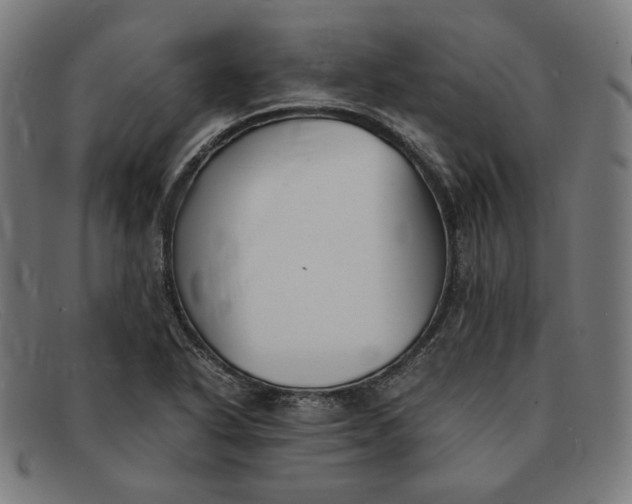 X0000091301318200708311329