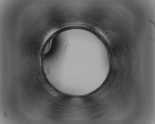 X0000091301320200708311329