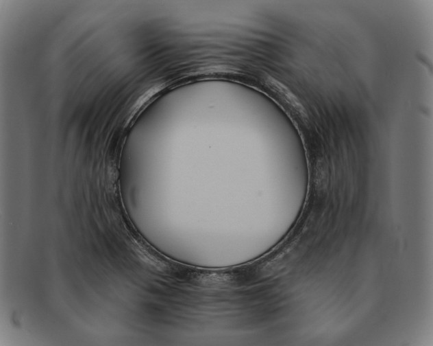 X0000091301321200708311329