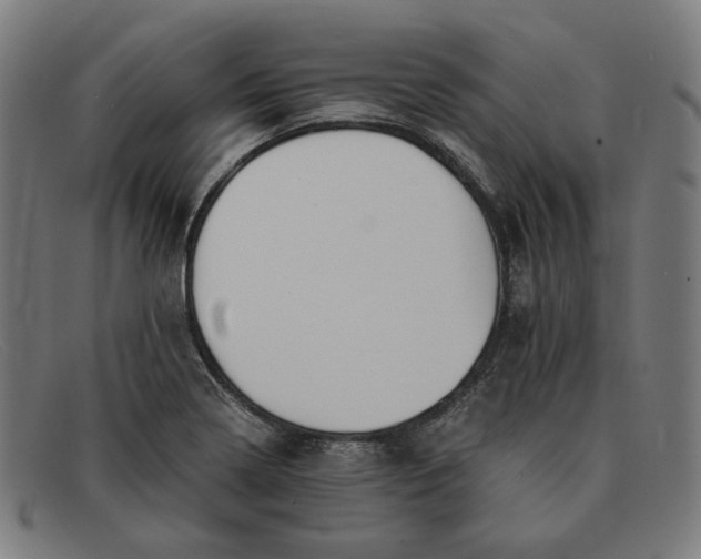 X0000091301322200708311329