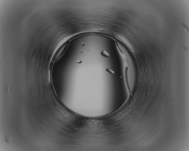 X0000091301324200708311329