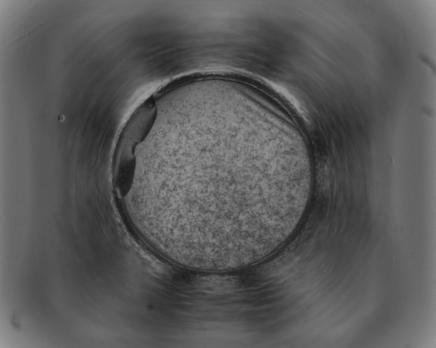 X0000091301327200708311329