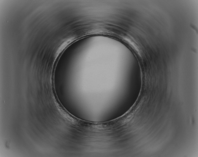 X0000091301330200708311329