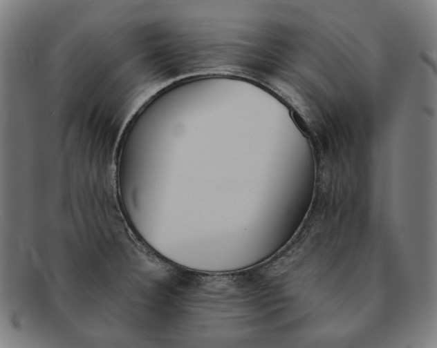 X0000091301332200708311329