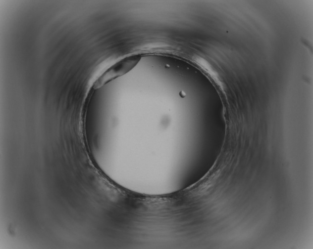 X0000091301336200708311329