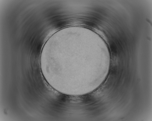 X0000091301338200708311329