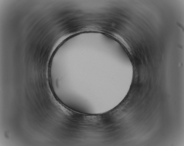 X0000091301339200708311329