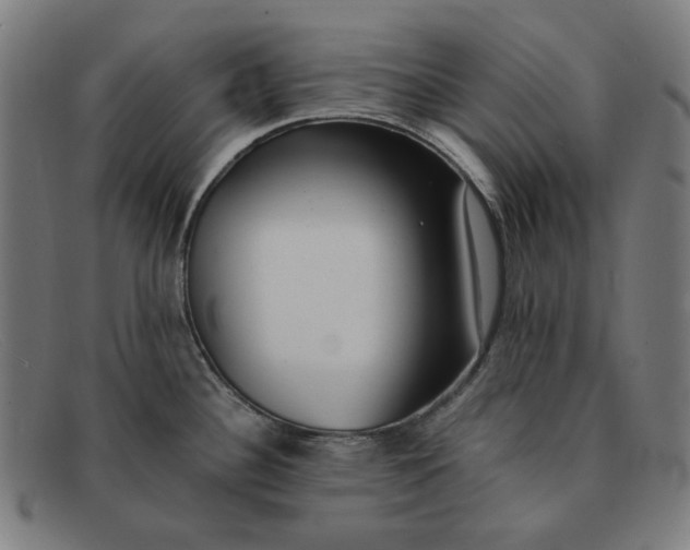 X0000091301340200708311329