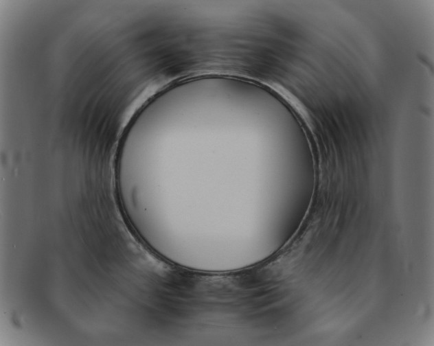 X0000091301341200708311329