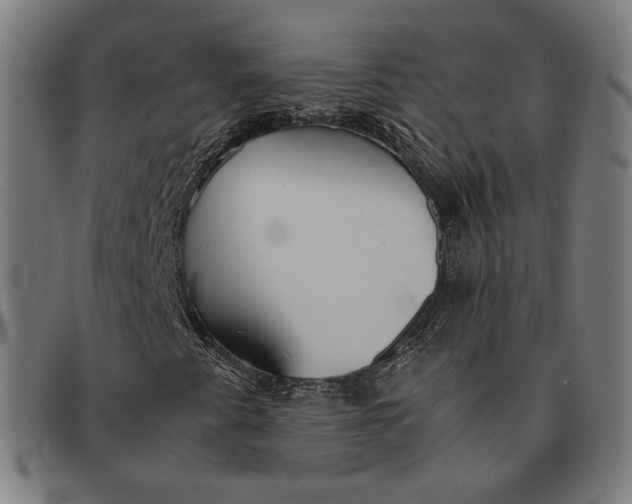 X0000091301345200708311329