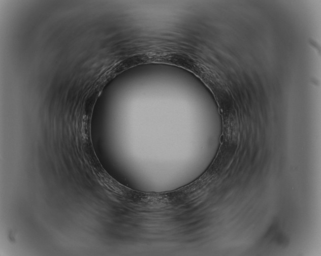 X0000091301346200708311329