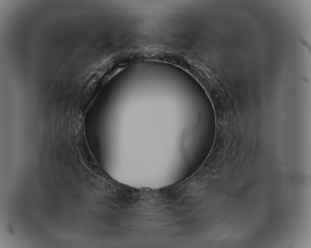 X0000091301349200708311329