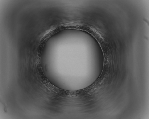 X0000091301350200708311329