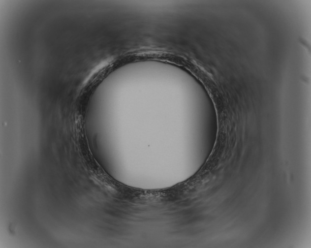 X0000091301351200708311329