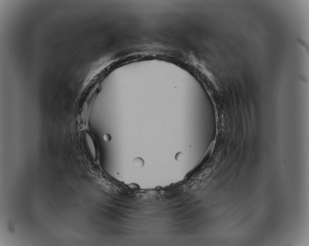 X0000091301352200708311329