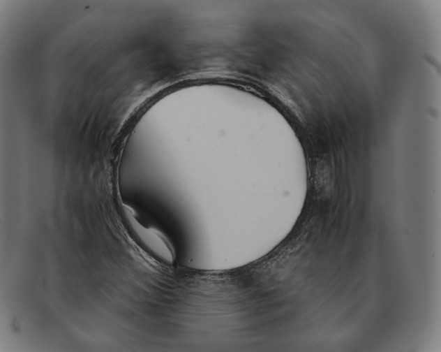 X0000091301356200708311329